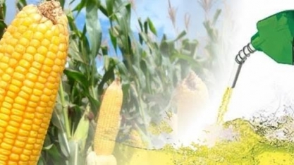 Estudo mapeia reflexos positivos do etanol de milho 