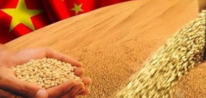China à procura novos países para a importação de soja
