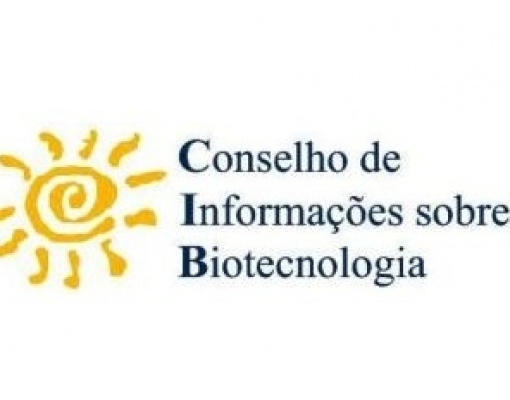 Cultivo de transgênicos cresce 2% no Brasil em 2017