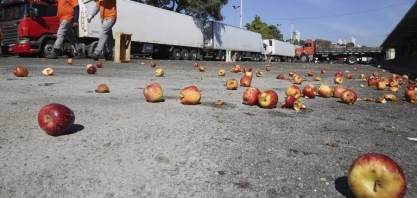 Paralisação de caminhoneiros afetará PIB agropecuário no 2º trimestre