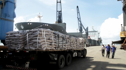 Brasil deve perder liderança mundial da produção de açúcar para a Índia