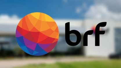 BRF vende em bloco ações da Minerva e fatia na empresa cai a 6,8% 