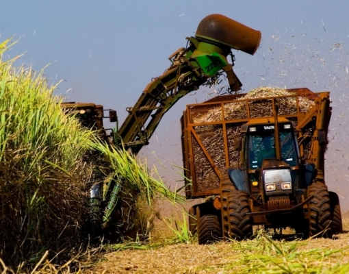 Indústria de cana do Centro-Sul deixa de gerar R$1,2 bi por protestos 