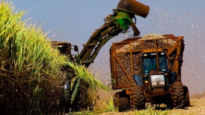 Indústria de cana do Centro-Sul deixa de gerar R$1,2 bi por protestos 