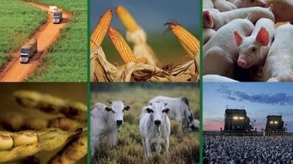 Governo eleva previsão de valor da produção agropecuária para R$552 bi 