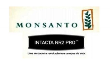 Justiça federal concede liminar favorável à Aprosoja/MT contra Monsanto