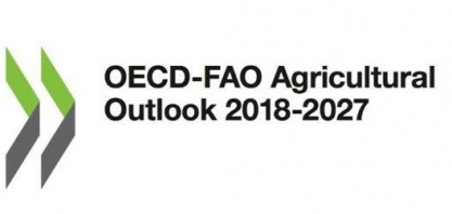 Cotações agrícolas sob pressão nos próximos 10 anos