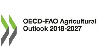 Cotações agrícolas sob pressão nos próximos 10 anos