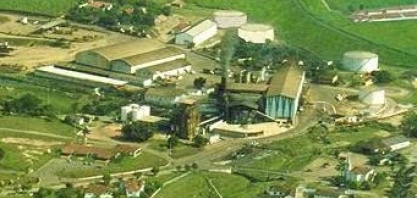 Família Furlan corta seus canaviais