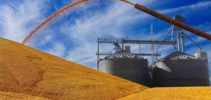 Milho: Exportações recuam 75% em volume e 71% em receita ante junho/2017 