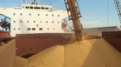 Soja brasileira não dá espaço para carga dos EUA em porto chinês 