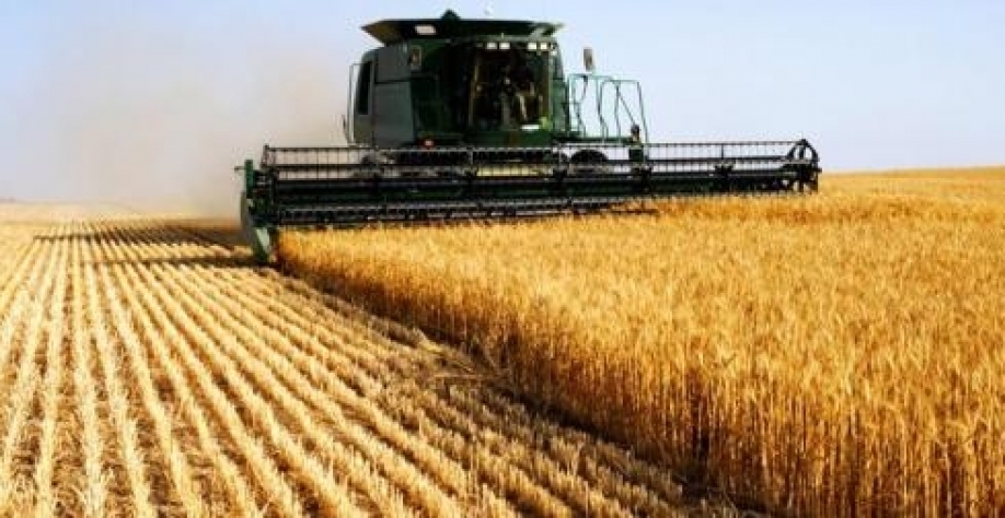 Brasil pode importar soja para lucrar com disputa de EUA e China  