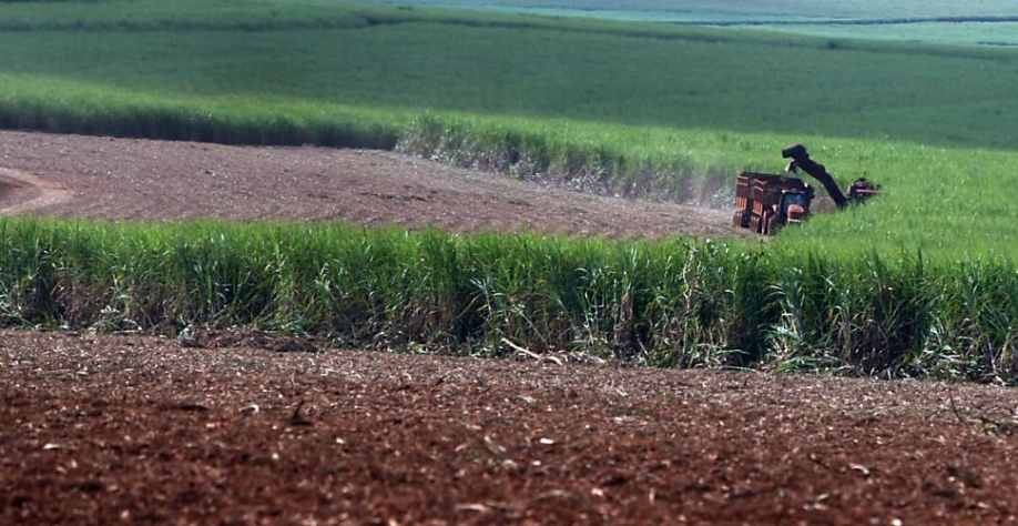 Produção de açúcar cai 23,3% no Centro-Sul;hidratado tem recorde quinzenal