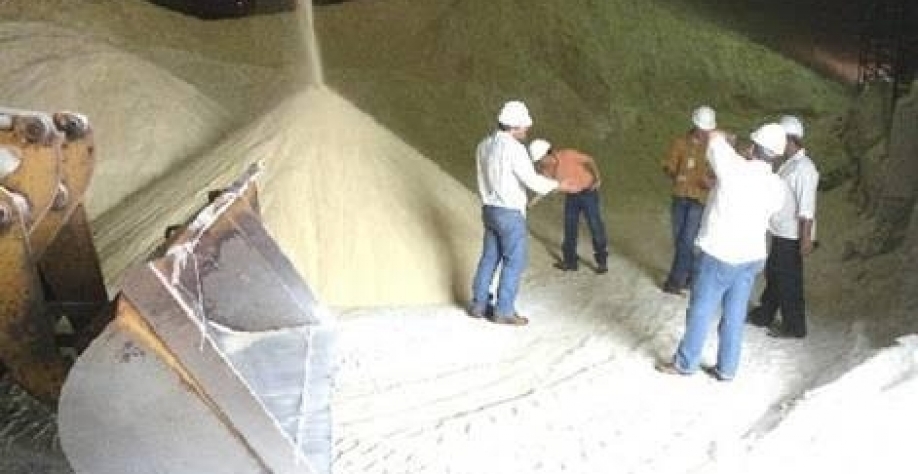 Produção de açúcar no Centro-Sul despenca 23,7% na 2ª quinzena de junho