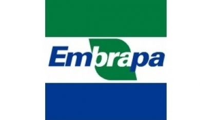 Embrapa elabora agenda para os candidatos das eleições de outubro 