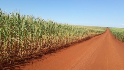 Chuva trará alívio à agricultura do PR e SP mas pode afetar colheita