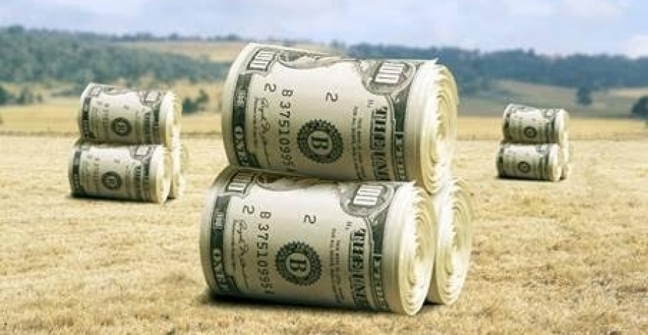 Subsídio agrícola no mundo somou US$ 620 bi ao ano entre 2015 e 2017