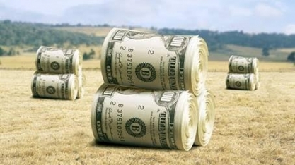 Subsídio agrícola no mundo somou US$ 620 bi ao ano entre 2015 e 2017