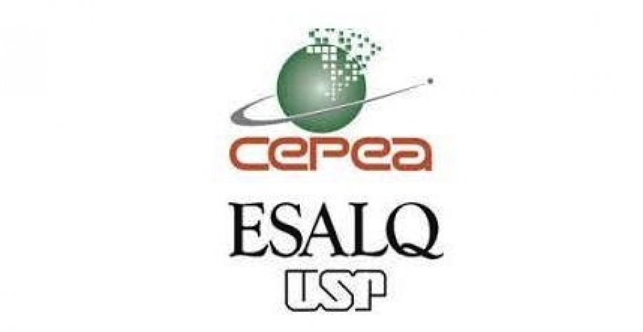 Cana: Número de trabalhadores cai, mas qualidade dos empregos cresce 