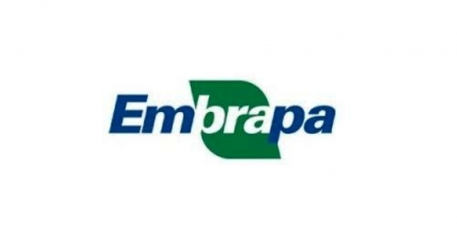 Corrida eleitoral para a presidência da Embrapa 