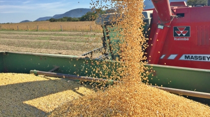 Saldo da balança do agro em junho é de US$ 8,17 bilhões