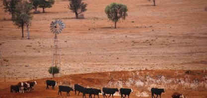Lições da Austrália para o agro brasileiro – Por Marcos Sawaya Jank