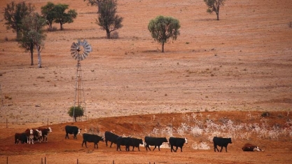 Lições da Austrália para o agro brasileiro – Por Marcos Sawaya Jank