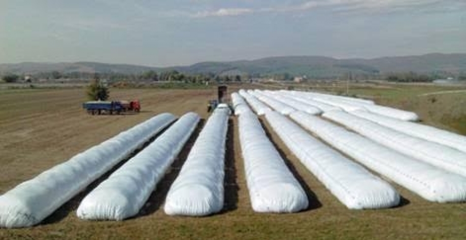 Soja represada estimulará vendas de silo-bolsa