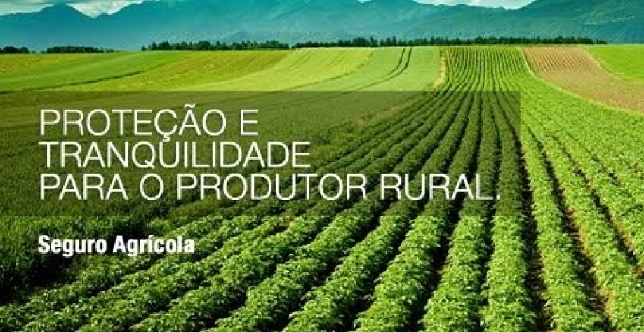 Seguro rural, ainda para poucos, busca evolução no país