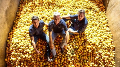 Atento ao mercado interno, agricultor vira industrial de suco de laranja