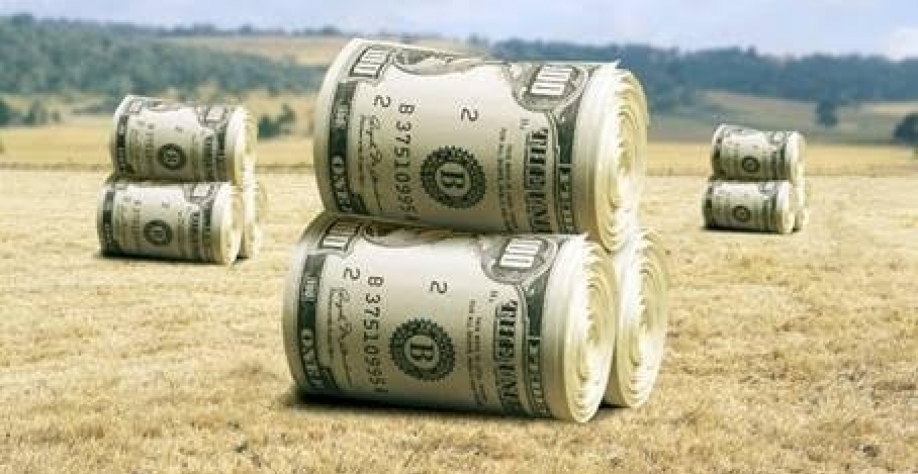 Dólar sobe ante o real com foco em cena política 