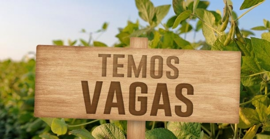 Agronegócio impulsiona renda e emprego no Centro-Oeste