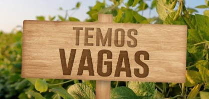 Agronegócio impulsiona renda e emprego no Centro-Oeste