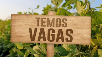 Agronegócio impulsiona renda e emprego no Centro-Oeste