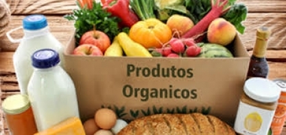 Comissão da Câmara aprova projeto que restringe venda direta de orgânicos