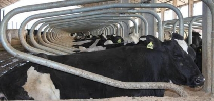 Leite sobe 44% no campo neste ano e deve pressionar ainda mais a inflação