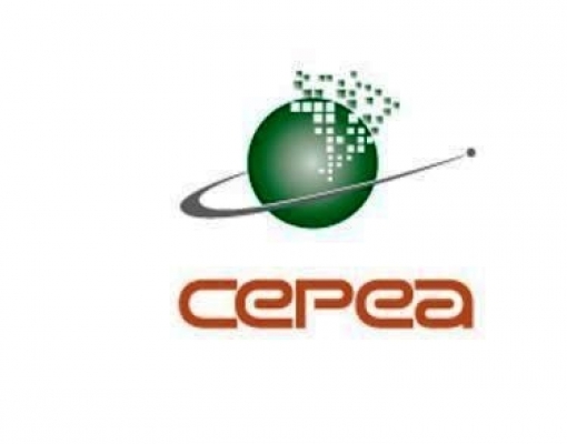 Diferença de preços entre carne suína e de frango é a menor em 11 anos 