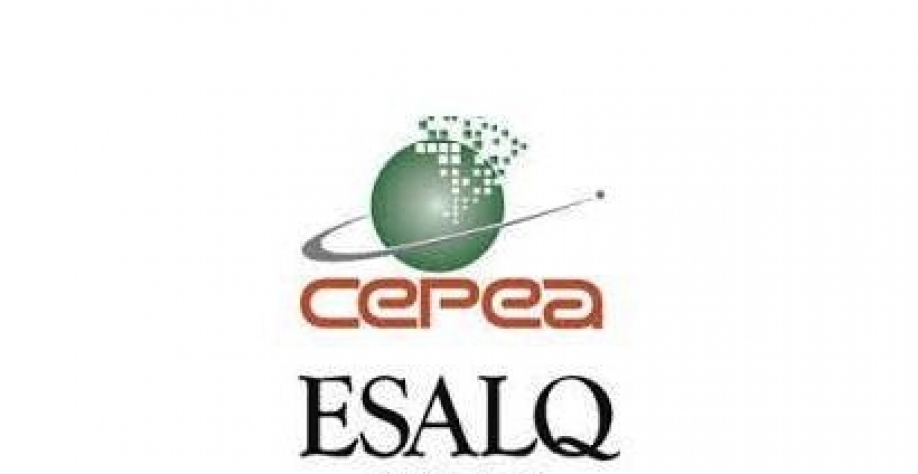 Etanol: hidratado sobe 4,75% e anidro avança 1,13% nas usinas 