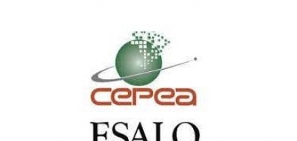 Etanol: hidratado sobe 4,75% e anidro avança 1,13% nas usinas 