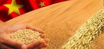 Importação de grãos pela China despenca em julho em meio a tarifas dos EUA