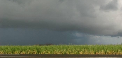 Chuvas trazem alívio para plantações secas de cana e café no Brasil