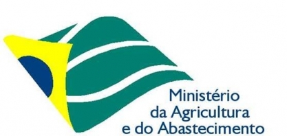 Governo vê salto para 302 mi t na produção de grãos do Brasil em 10 anos