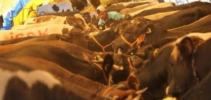 Agronegócio brasileiro ganha mais espaço no mercado turco