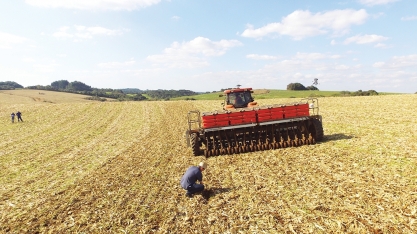 Calor intenso reduz safras globais e mercado de trigo pega fogo