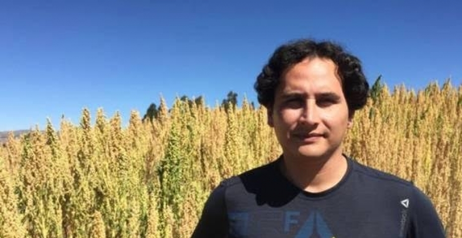 O superalimento que está mudando a vida dos agricultores no Peru