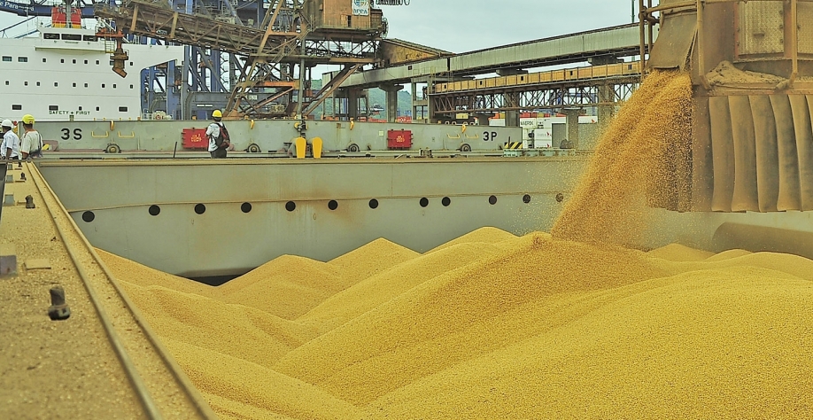 Soja: Exportação cresce 47% em volume e 62% em receita ante jul/2017
