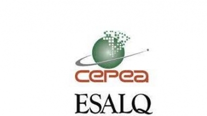 Etanol: Hidratado cai 0,84% e anidro 0,16% nas usinas 