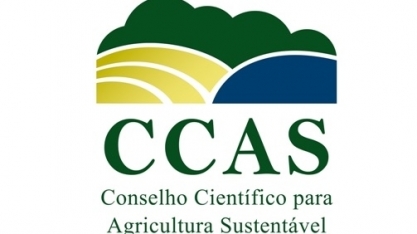 Os quatro temas que ainda assolam o agronegócio brasileiro