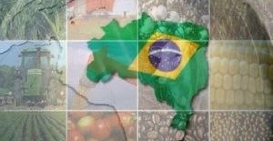 Brasil eleva previsão de VBP da agropecuária em 2018 para R$563,5 bi