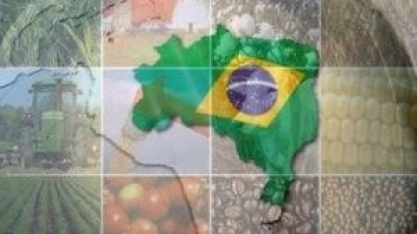 Brasil eleva previsão de VBP da agropecuária em 2018 para R$563,5 bi